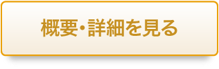 概要記事