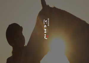 にのまえ画像