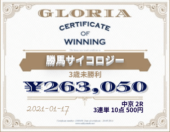 グロリア(gloria)検証実績