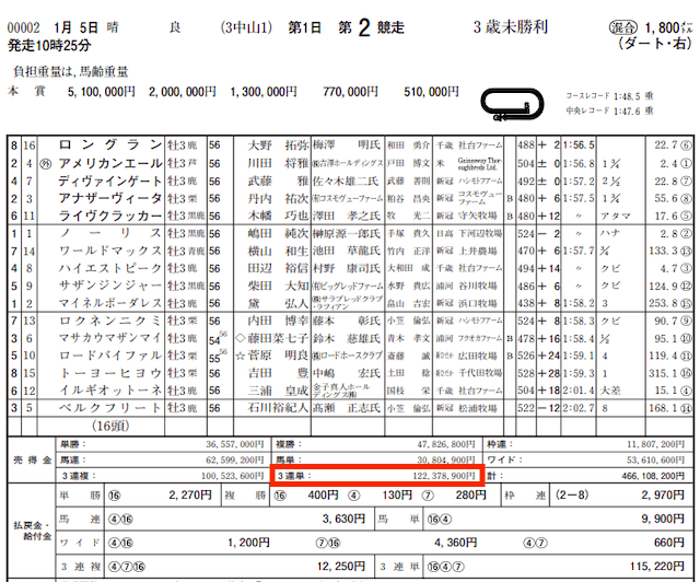 LAP競馬有料情報控除