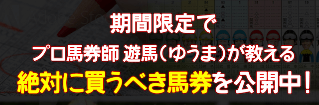 期間限定情報