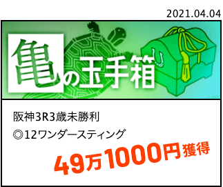 ばかうけ有料予想的中実績亀の玉手箱