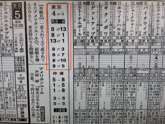 某有名競馬新聞A社の2021年6月19日の東京4Rの予想。