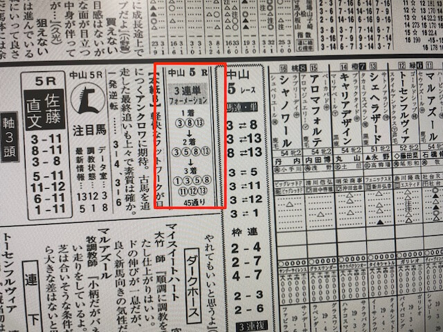 某有名競馬新聞A社の2021年9月19日の予想