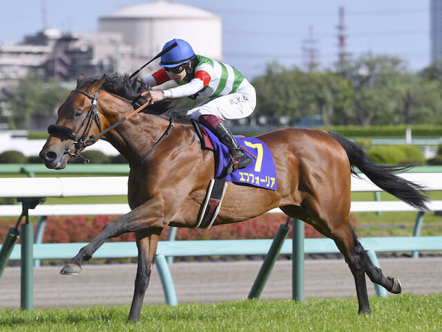 有馬記念エフフォーリア