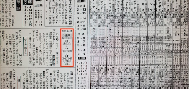 オールインワン競馬マルっと1月29日東京11R某有名競馬新聞A社予想