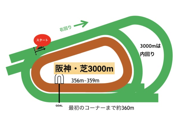 阪神競馬場芝コース特徴