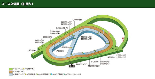 阪神競馬場特徴コース