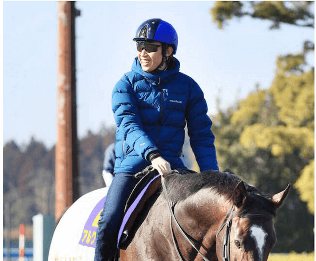 阪神競馬場で勝率の高い機種