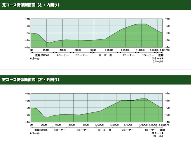 中山競馬場急坂と直線