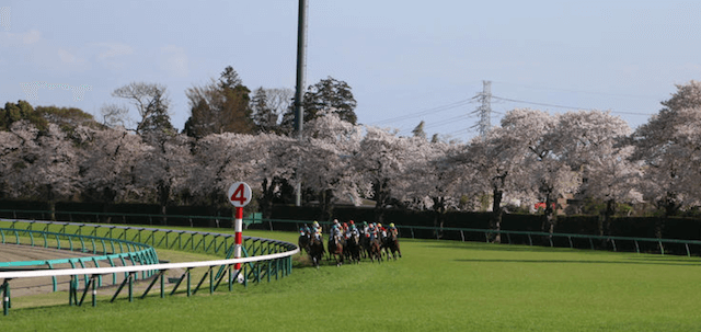 中山競馬場の季節特徴