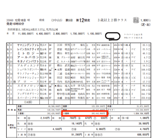 ポジション12月18日中山12R結果