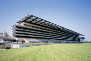 園田競馬場のコース特徴やレース傾向を徹底分析! | 競馬予想サイト解体新書