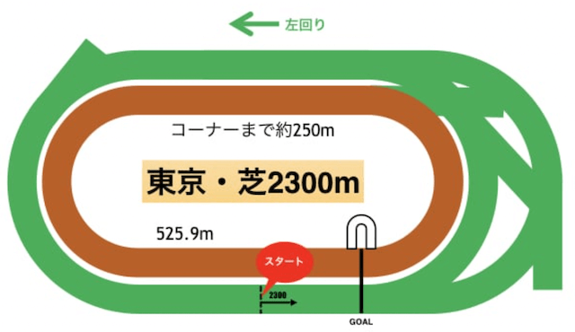 東京競馬場芝特徴