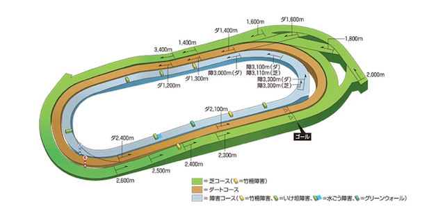 東京競馬場特徴