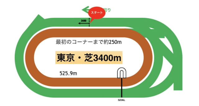 東京競馬場芝特徴