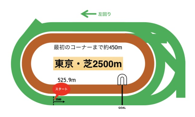 東京競馬場芝特徴