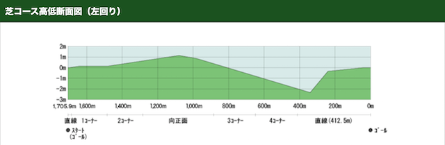 中京競馬場坂の特徴