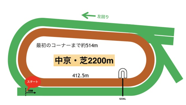 中京芝2200m