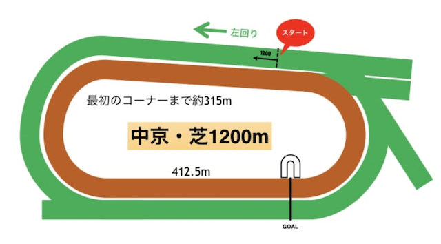 中京芝1200m