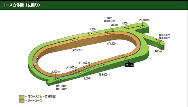 中京競馬場コース特徴