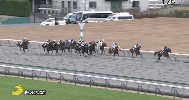 中京競馬場重賞レース