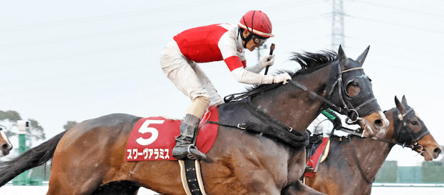 函館競馬場騎手