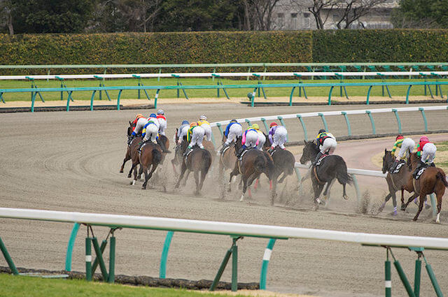 競馬で勝つためのコツ競走成績