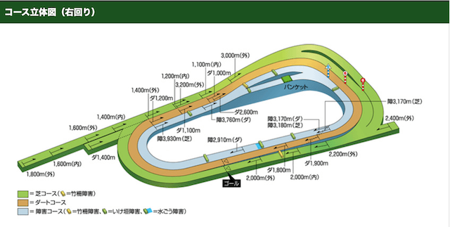 京都競馬場コース特徴