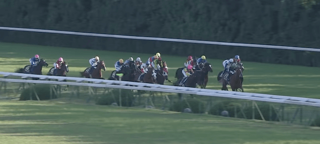 京都競馬場重賞レース