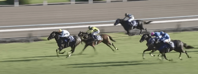 京都競馬場重賞レース