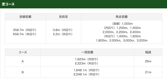 新潟競馬場コース特徴