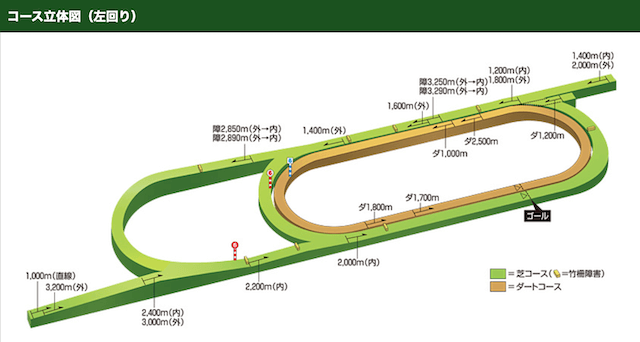 新潟競馬場コース特徴