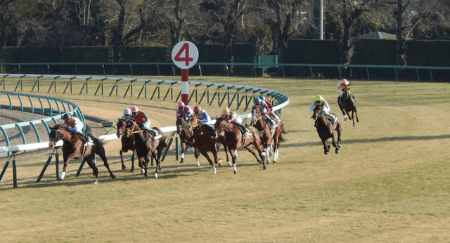 新潟競馬場カーブ