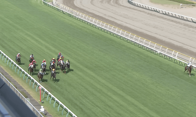 新潟競馬場アイビスサマーダッシュ