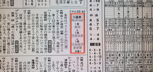 うましーず無料予想某有名競馬新聞A社中山11R買い目