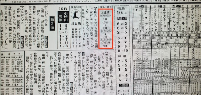 メガバックス某有名競馬新聞A社予想