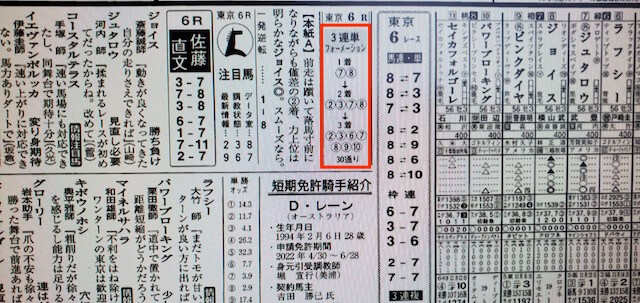 プレミアム某有名競馬新聞A社予想