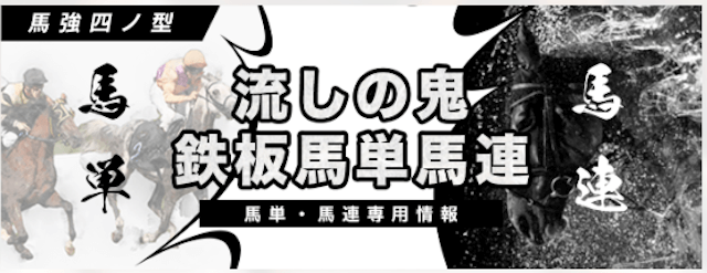 馬強有料プラン「流しの鬼鉄板馬単馬連」