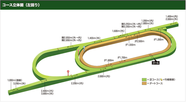 新潟競馬場コース紹介