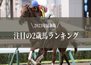 【2023】2歳馬ランキング画像