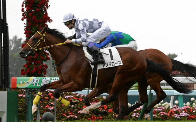 微妙に注目されるかもしれない2歳馬のアンテロース