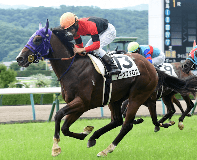 微妙に注目されるかもしれない2歳馬のブーケファロス