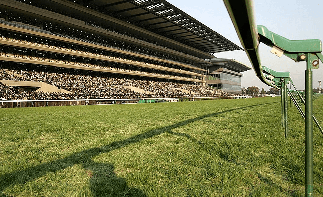 馬券の買い方で効果的なのはわかりやすいレースを選ぶことで芝のレースが一番わかり易い