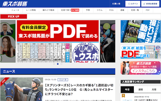 競馬新聞の予想で穴を狙いたいなら東スポ