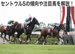 セントウルステークス2022画像