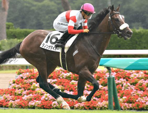 ダノンザタイガーの未勝利戦は単勝1.2倍の圧倒的人気に応えて勝利