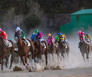 競馬の荒れるレースの見分け方をご紹介！高配当を狙う買い方とは？画像