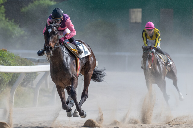 競馬の荒れるレースについてご紹介