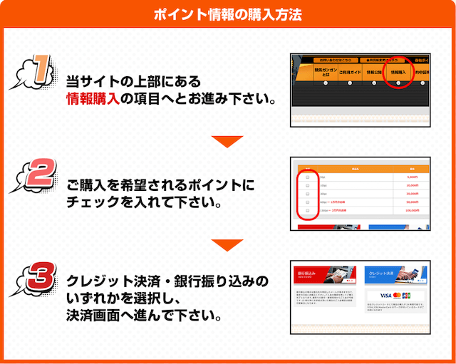 競馬ガンガンポイント購入流れ